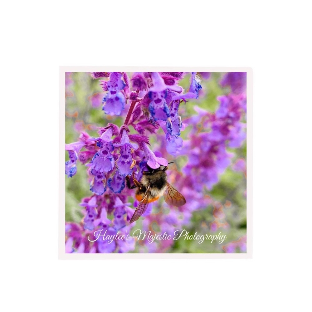 Homemade (MY OWN) Photography vinyl waterproof stickers